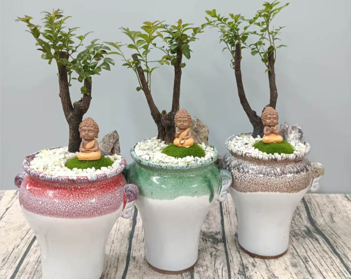 1650017706115334.png image.png