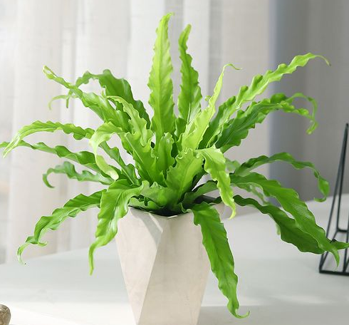 1650017918213574.png image.png