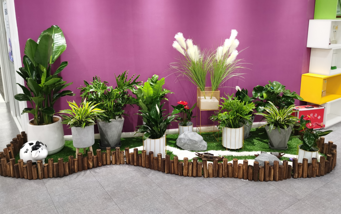 1650018250120965.png image.png