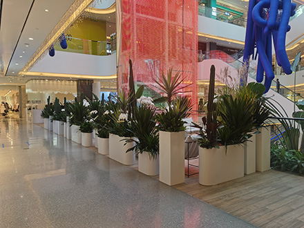 1650250844775378.jpg ewa.jpg