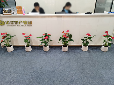 1650250937177146.jpg 440.jpg