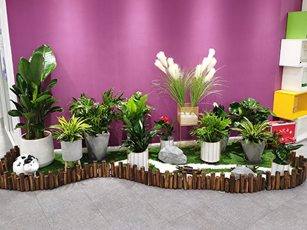 1650252192690241.jpg 1220.jpg