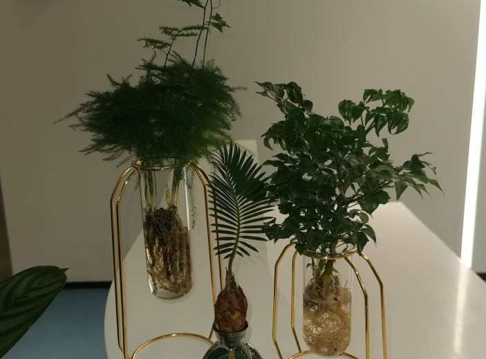 1650352306176523.png image.png