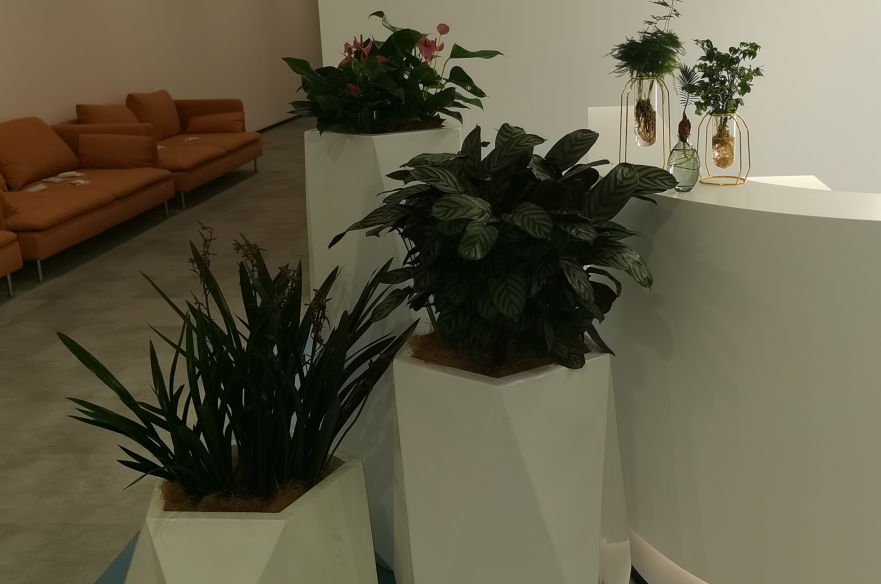 1650352329451124.png image.png