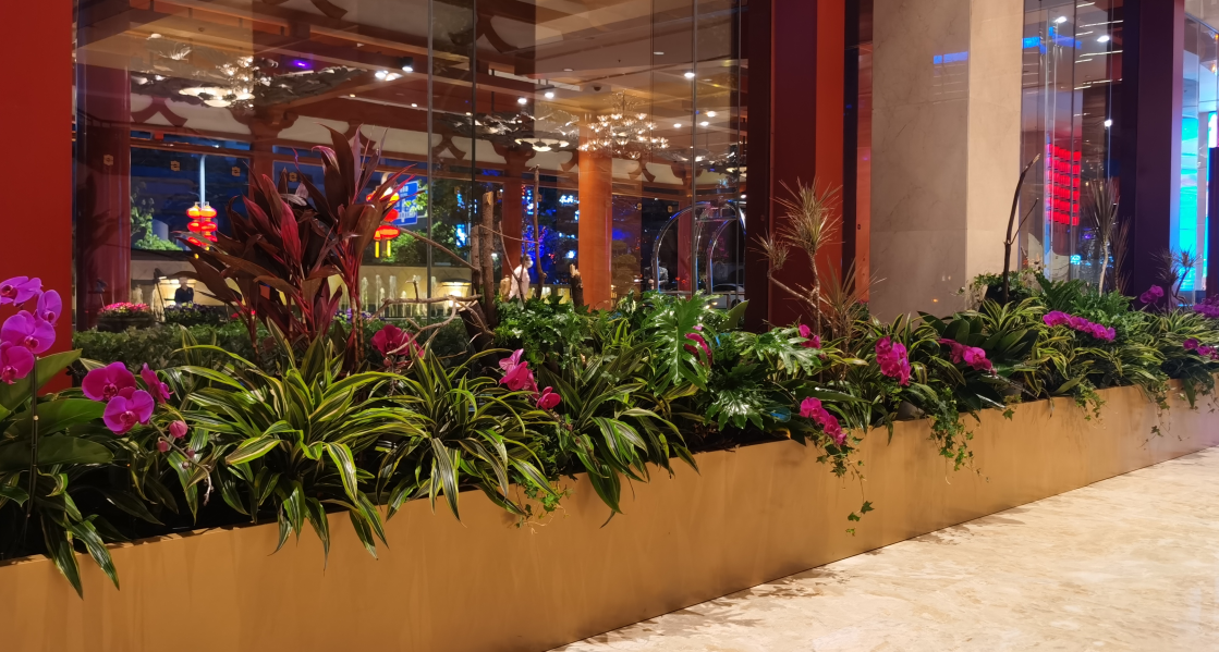 1650352723152929.png image.png