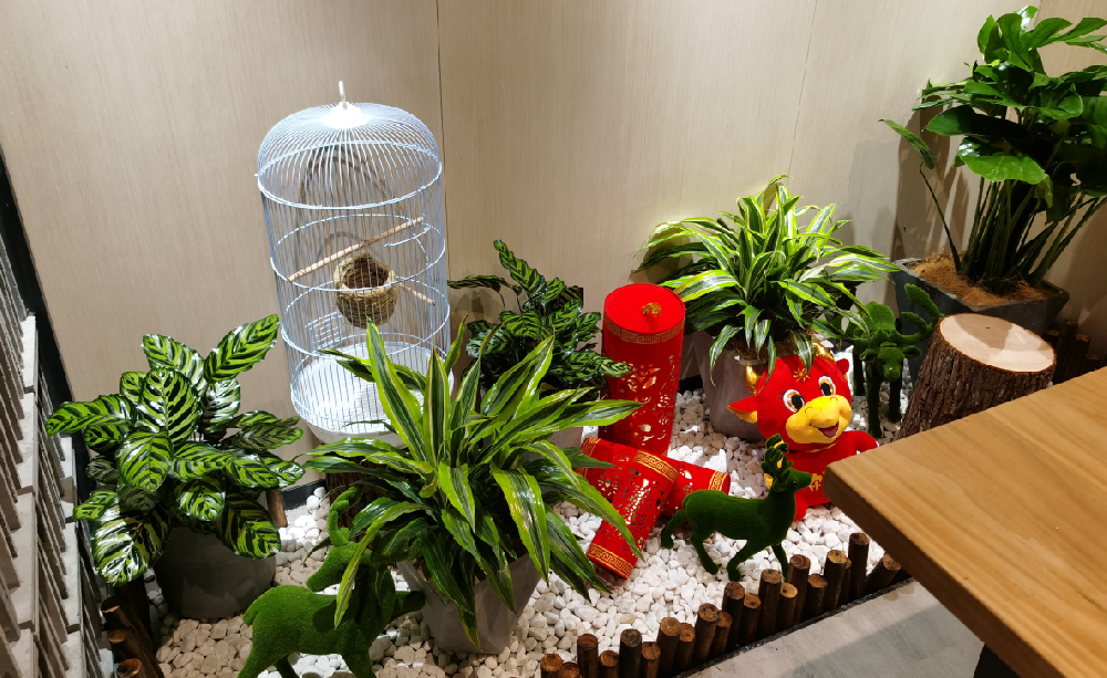 溫馨的港灣,家庭花卉租擺方案搭配