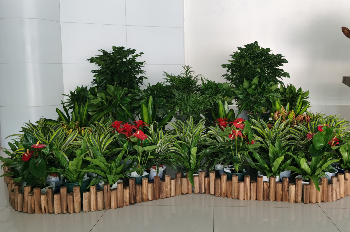 1650352958112121.png image.png