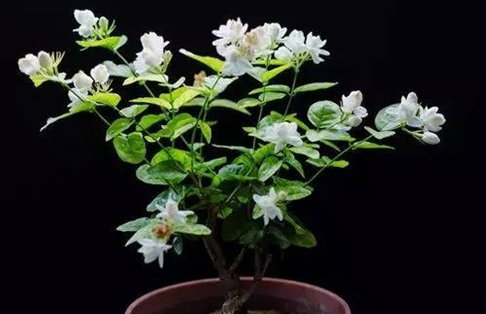 1650443547311245.png image.png