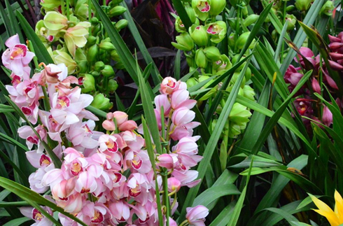 1650443662933457.png image.png