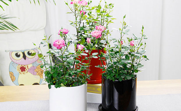 1650443832129538.png image.png