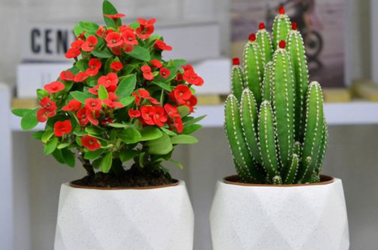 1650519662122888.png image.png