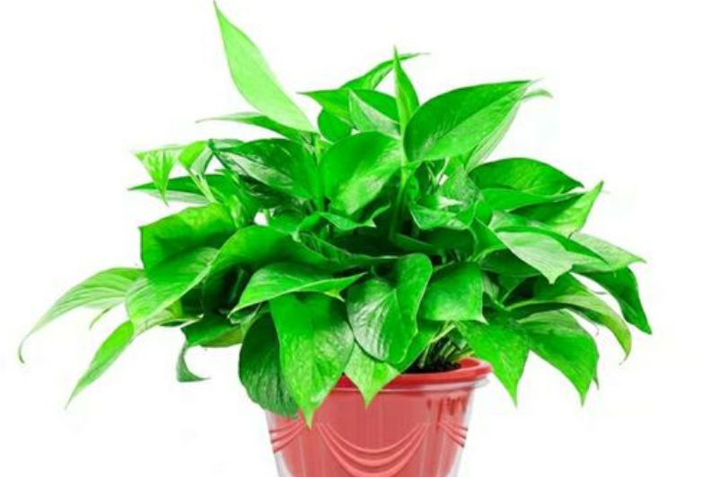 1650519899196449.png image.png