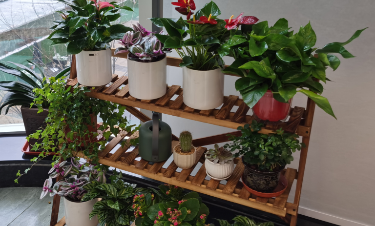 1650620263208128.png 1650620263208128.png