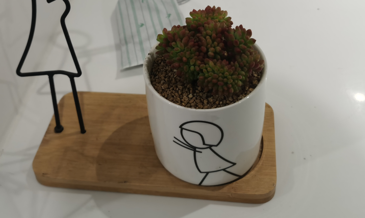 1650620519526324.png 1650620519526324.png