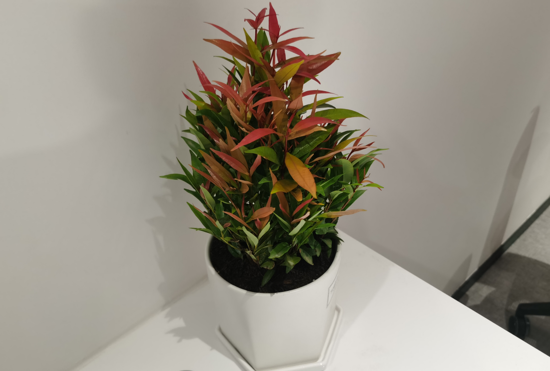 1650620555857635.png 1650620555857635.png