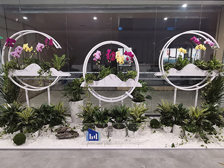 企業(yè)綠植租賃