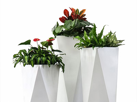 西安辦公室綠植租賃