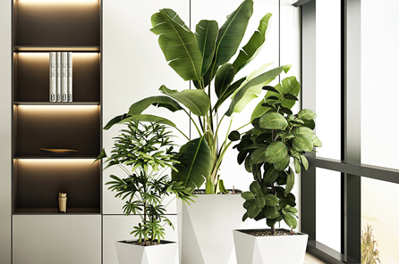 1651196771279024.png image.png