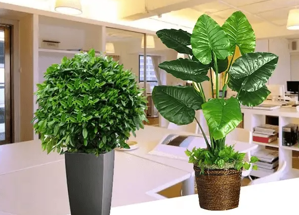 1652334178106013.png image.png