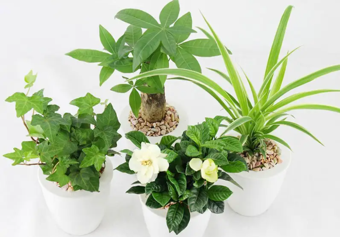 1652334996280005.png image.png