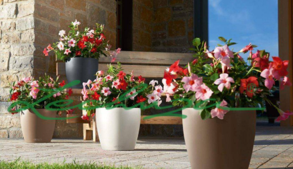 1653446729181852.png image.png